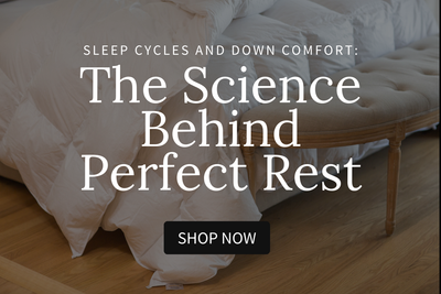 Sleep Cycles and Down Comfort: The Science Behind Perfect Rest