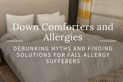 Down Comforters and Allergies: Debunking Myths and Finding Solutions for Fall Allergy Sufferers