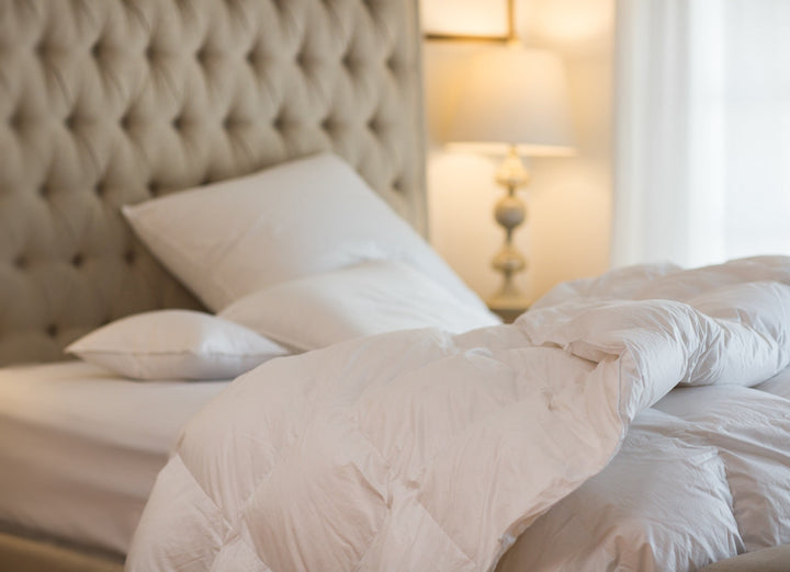 Huggable Down Comforter