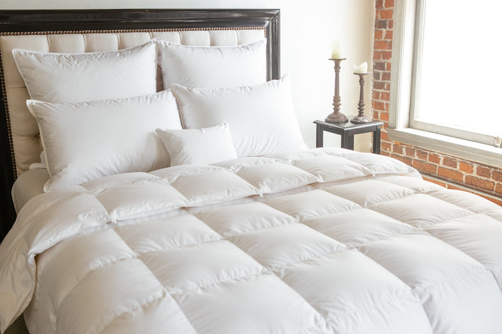 Serenity Cotton Down Comforter