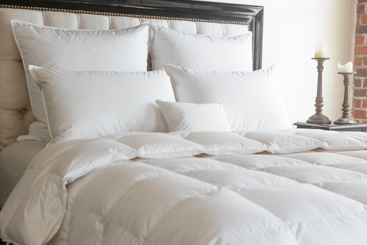 Serenity Cotton Down Comforter