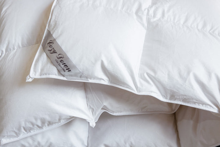 Serenity Cotton Down Comforter