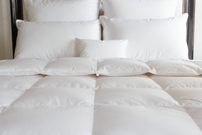 Serenity Cotton Down Comforter