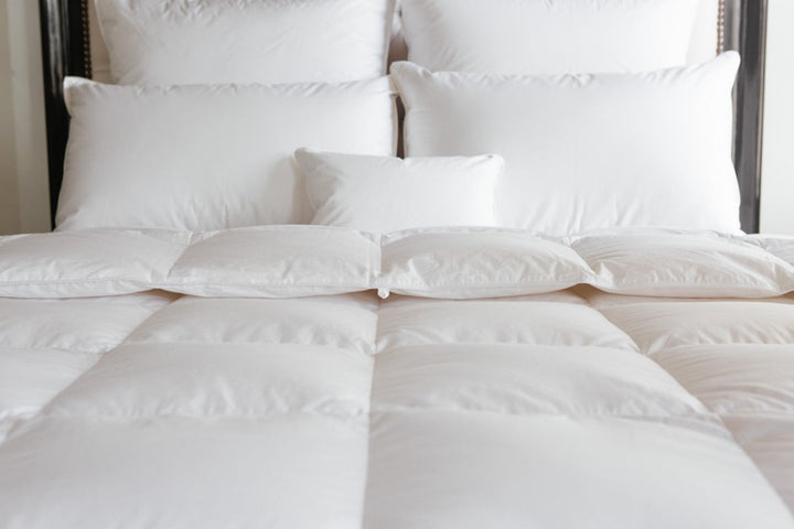 Serenity Winter Heavy Down Comforter