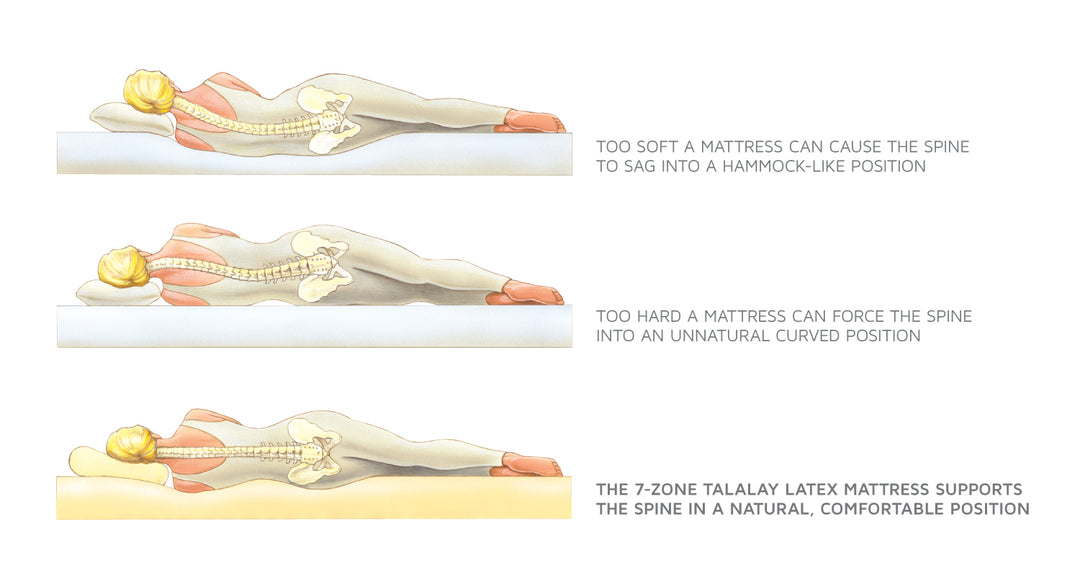 Royal Latex Quilt-Top Mattress
