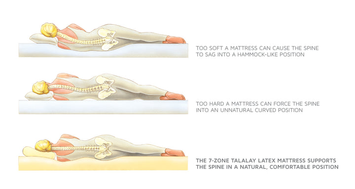 Premier Natural Latex Quilt-Top Mattress